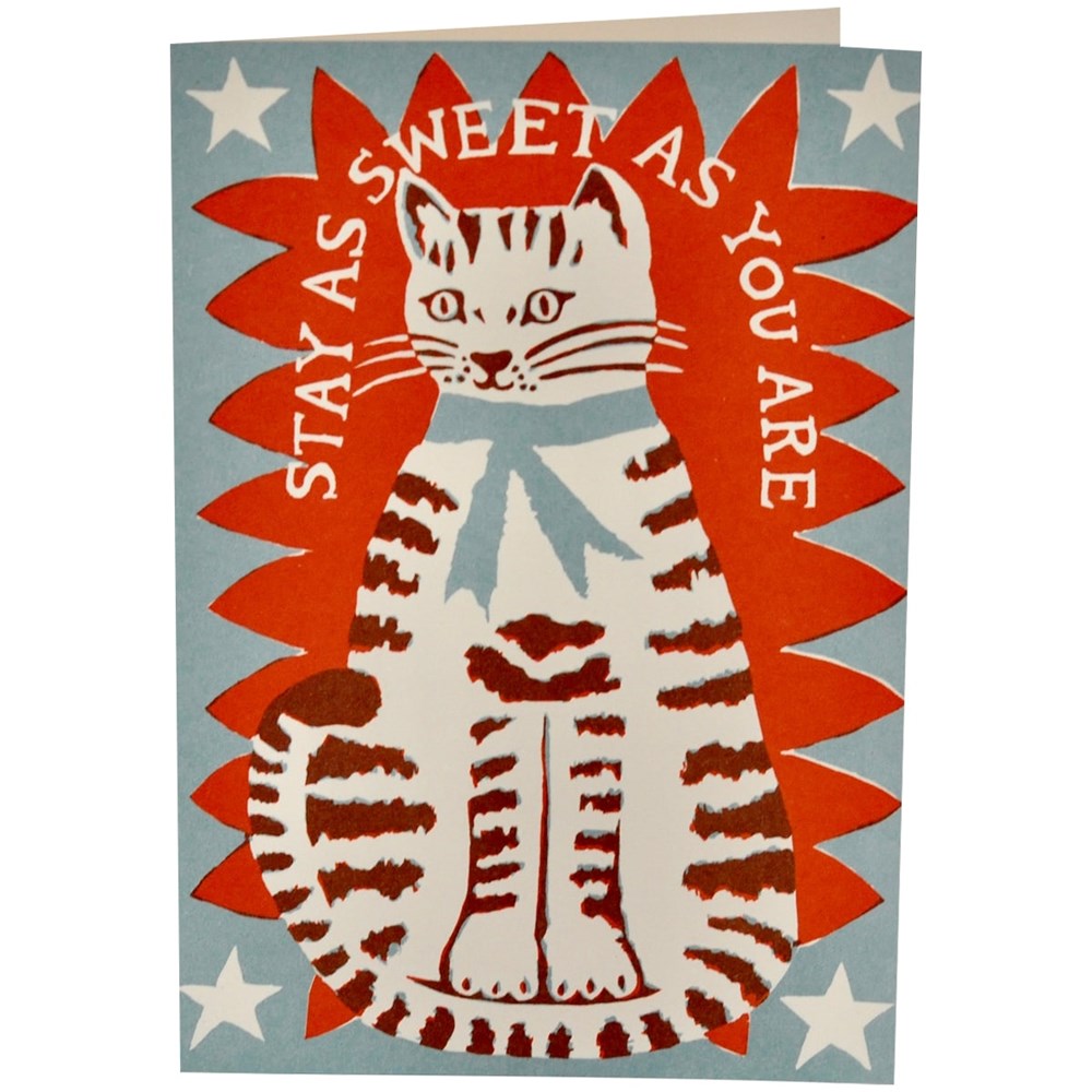 Sweet Cat Card