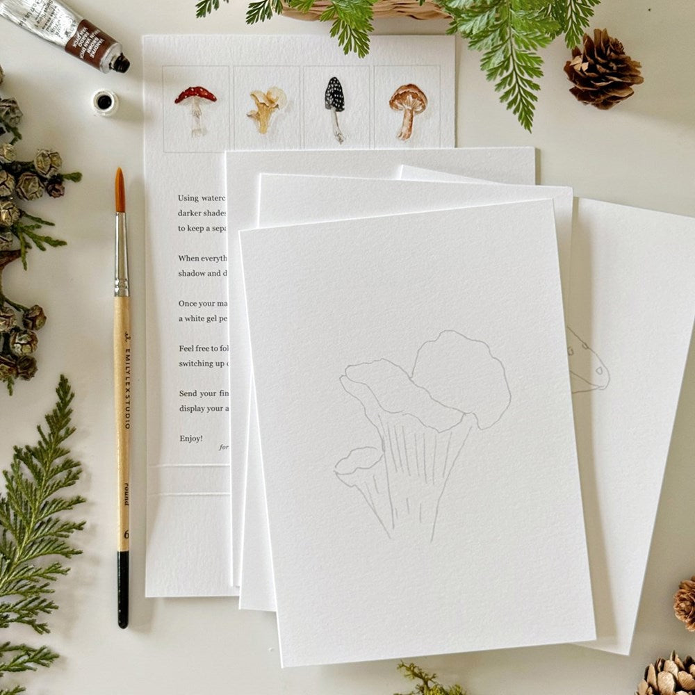 Mushrooms Paintable Notecards