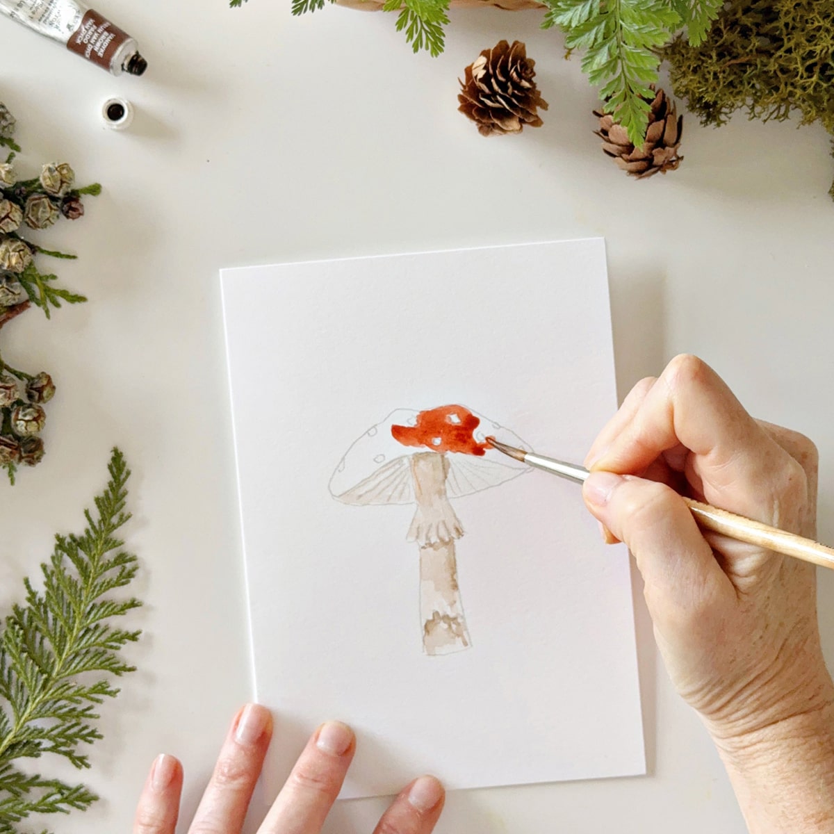 Mushrooms Paintable Notecards